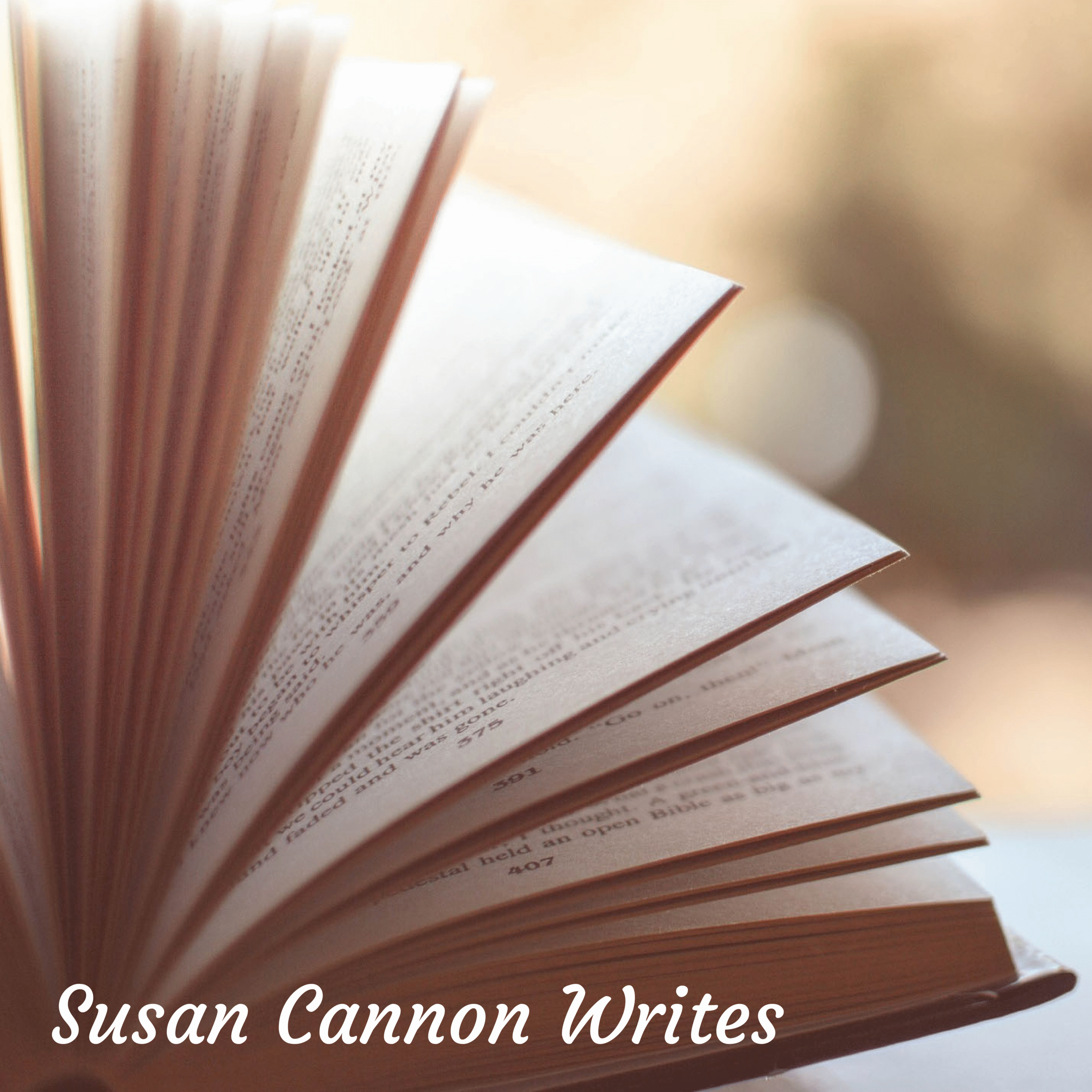 b_susancannon-b